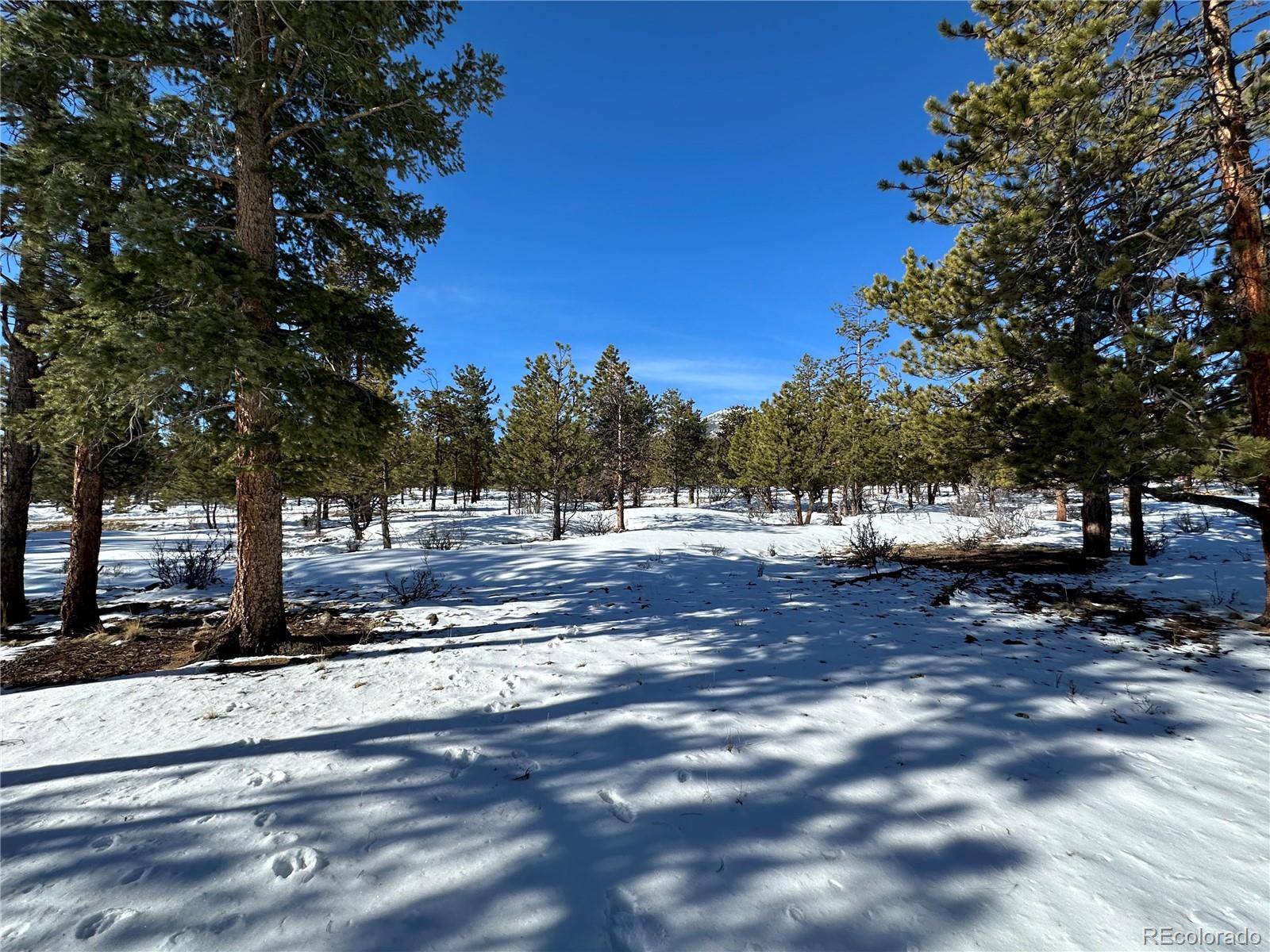 30650 Timberline N.