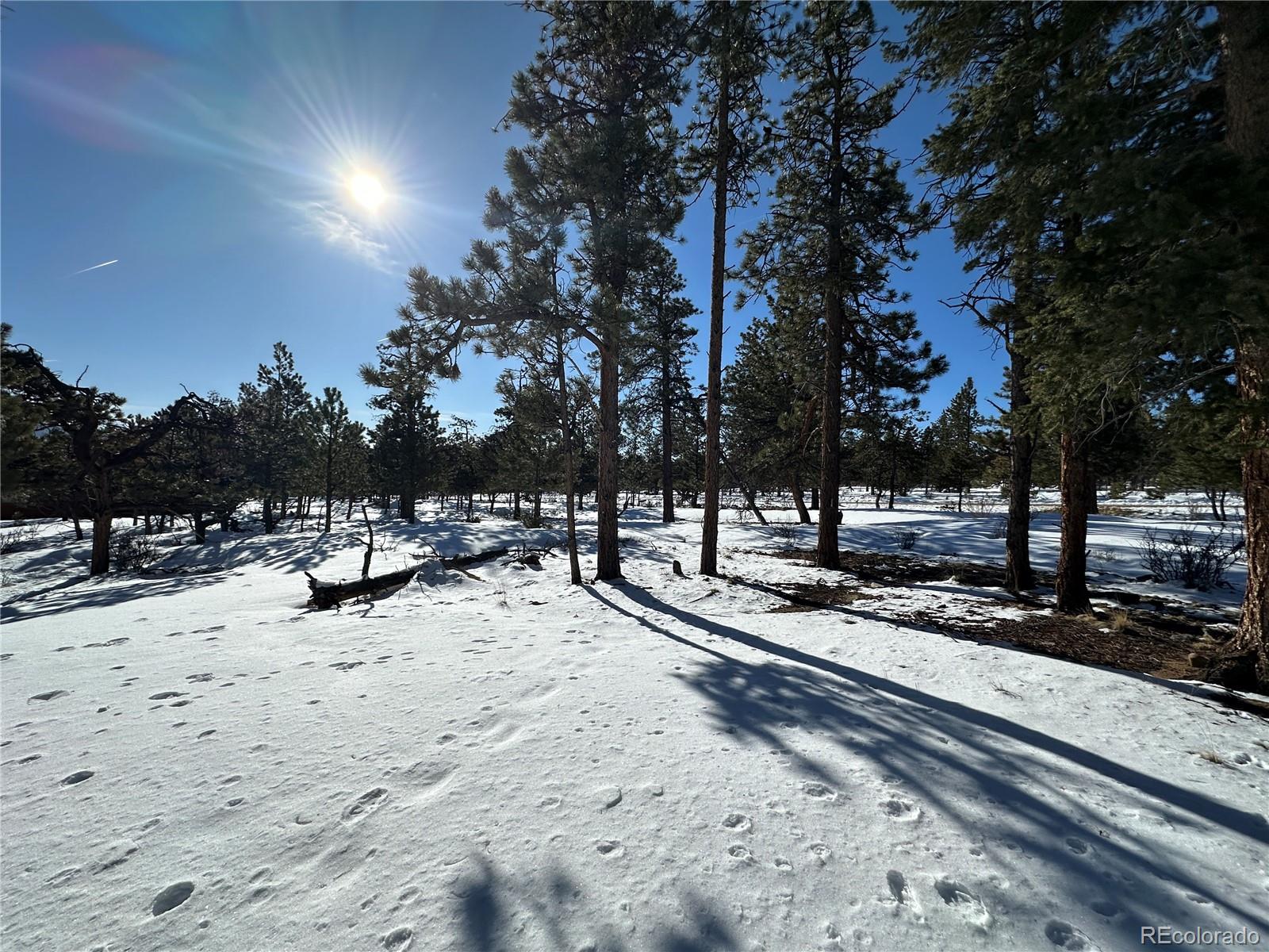 30650 Timberline N.