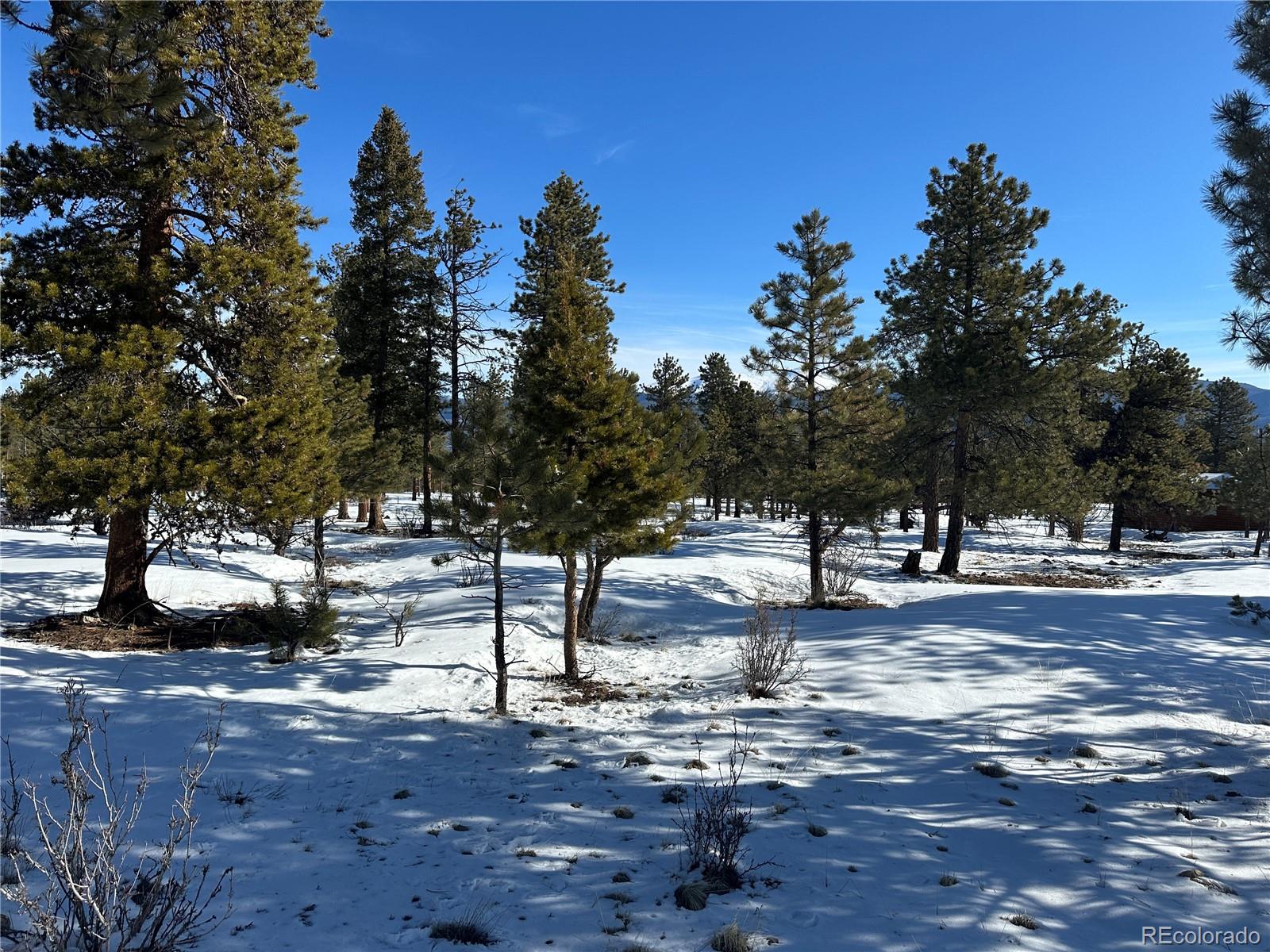 30650 Timberline N.