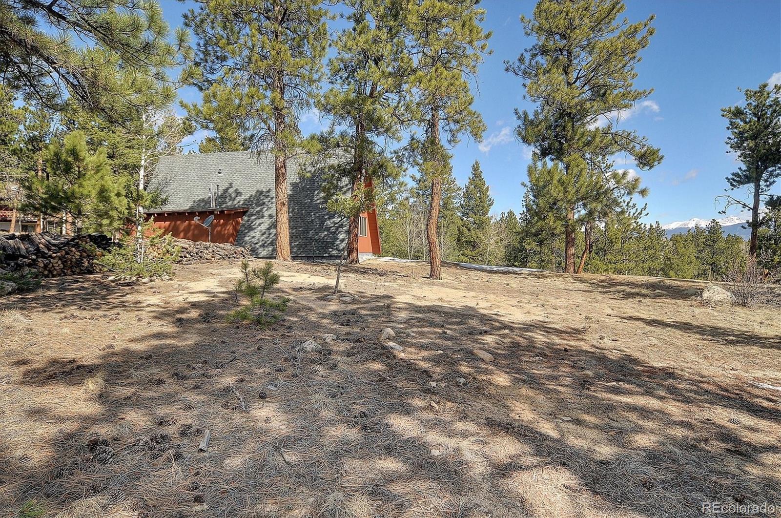 16495 Mt Princeton Road