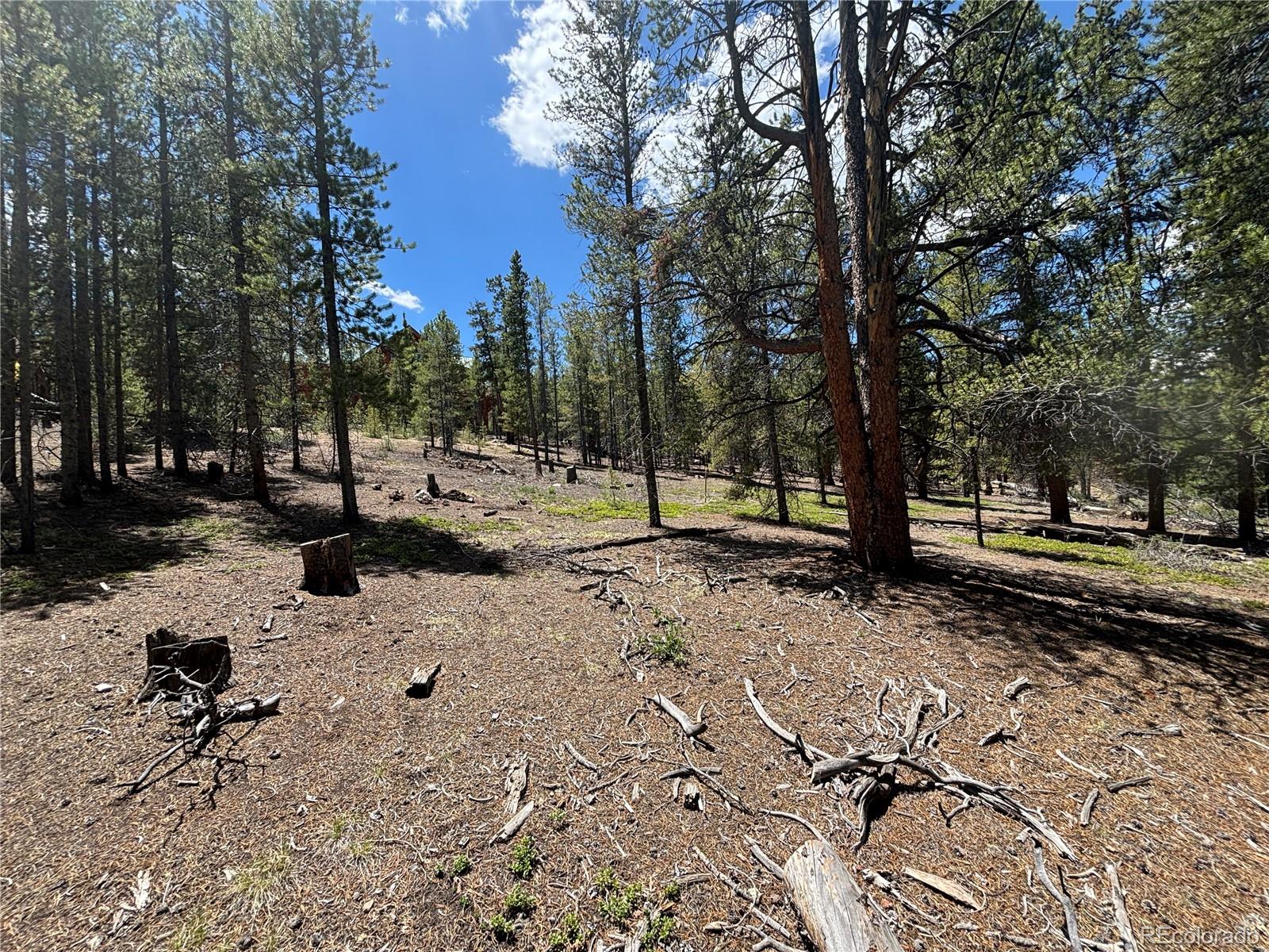 738 Lodgepole Drive