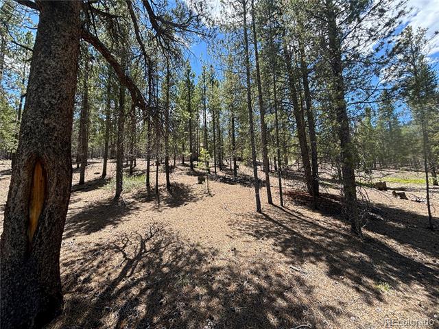738 Lodgepole Drive