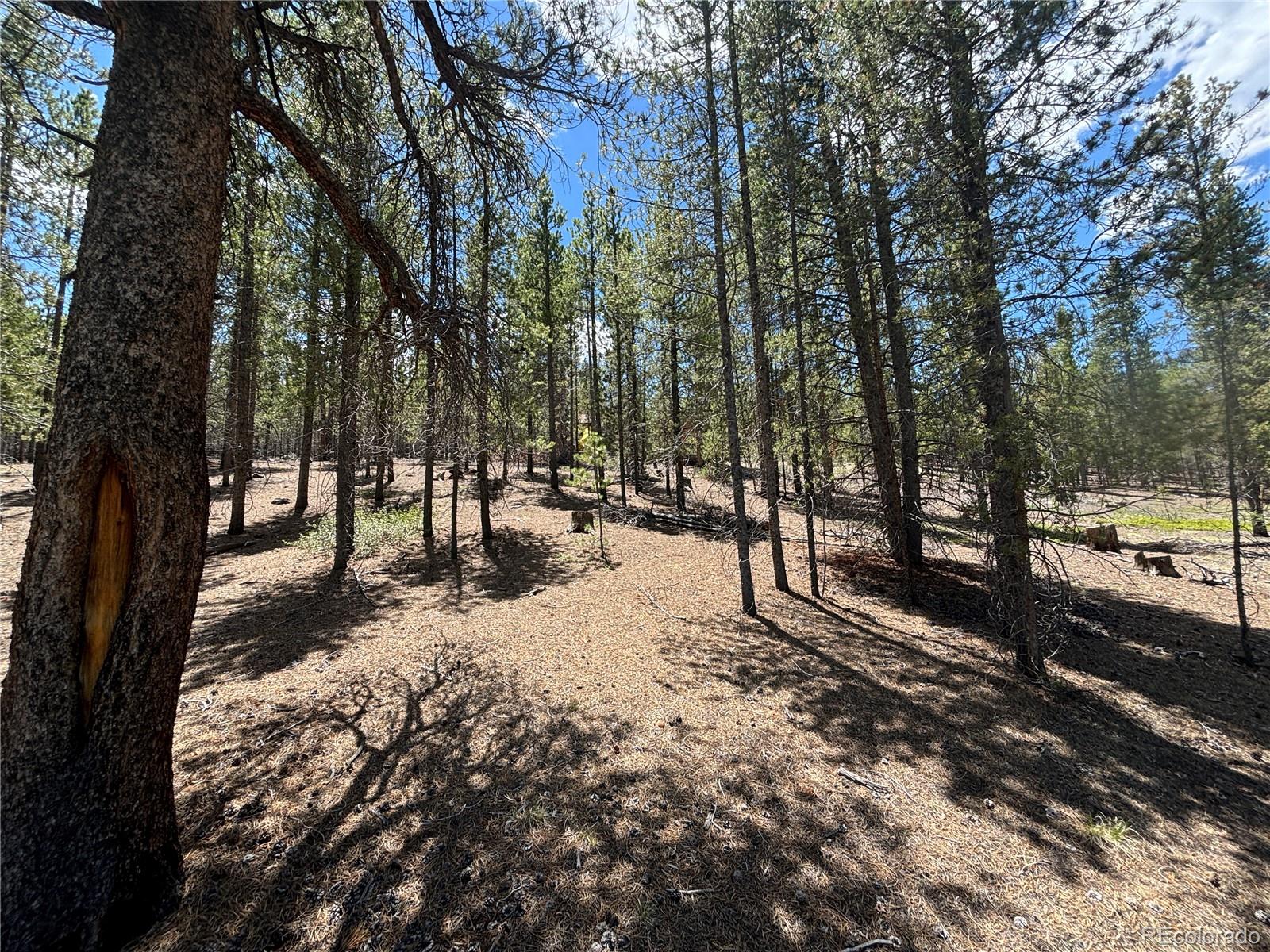 738 Lodgepole Drive
