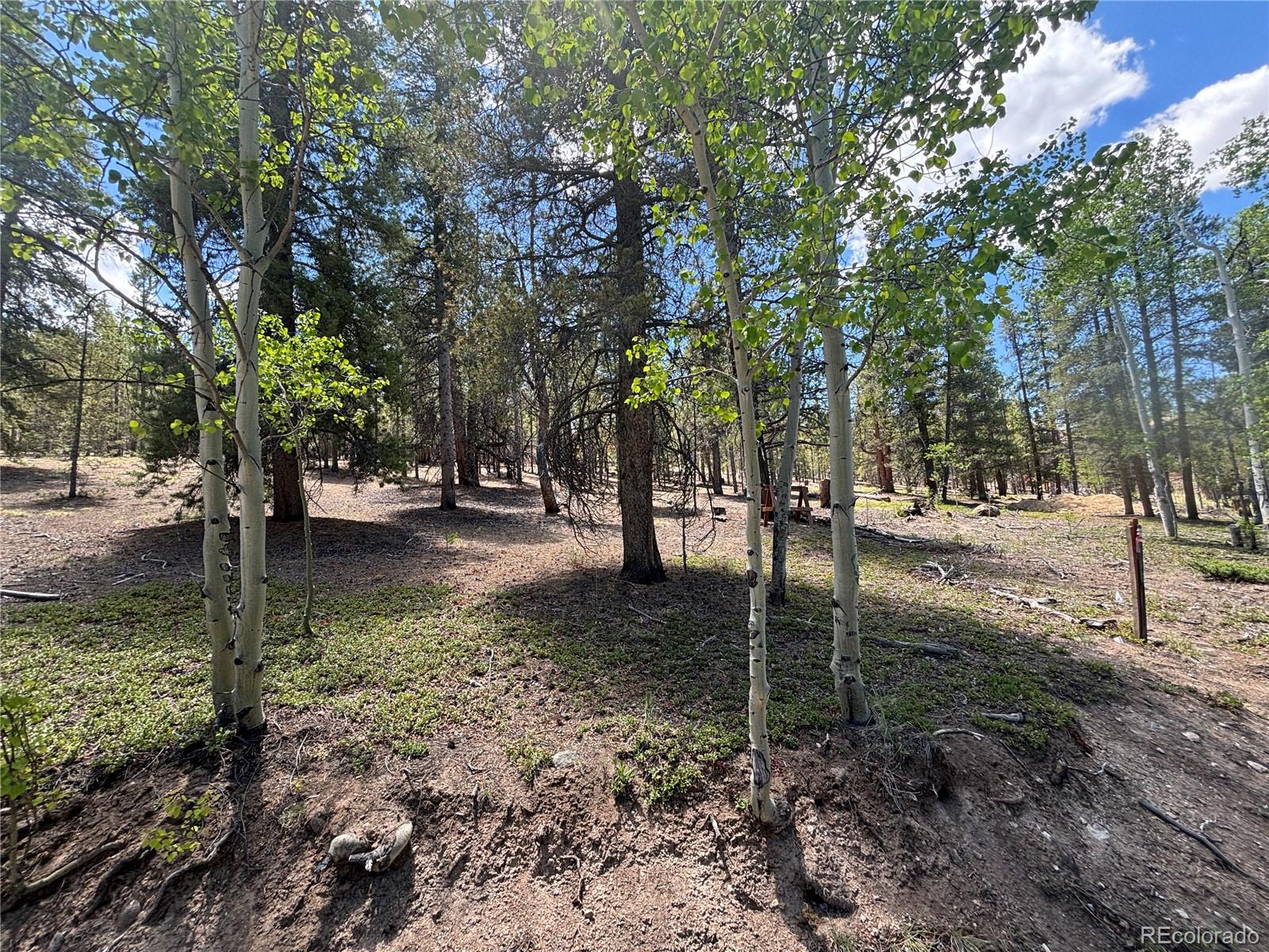 738 Lodgepole Drive