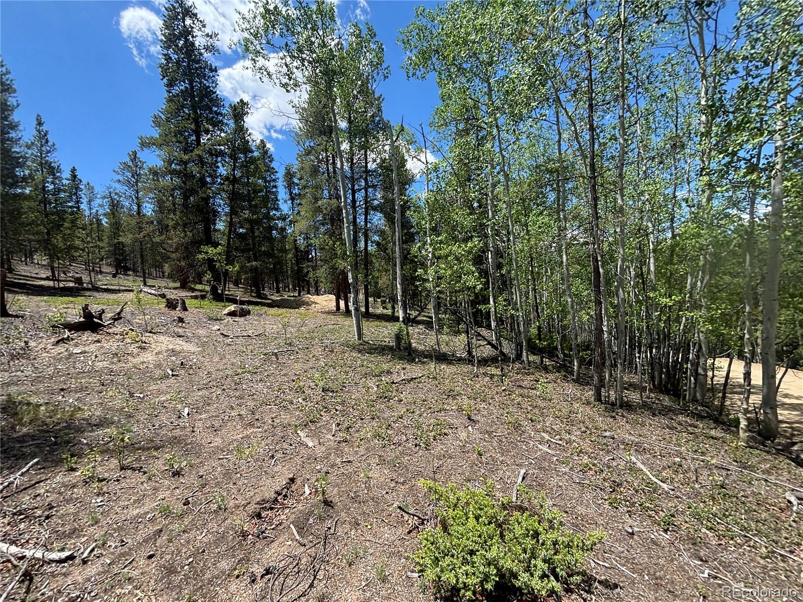 738 Lodgepole Drive