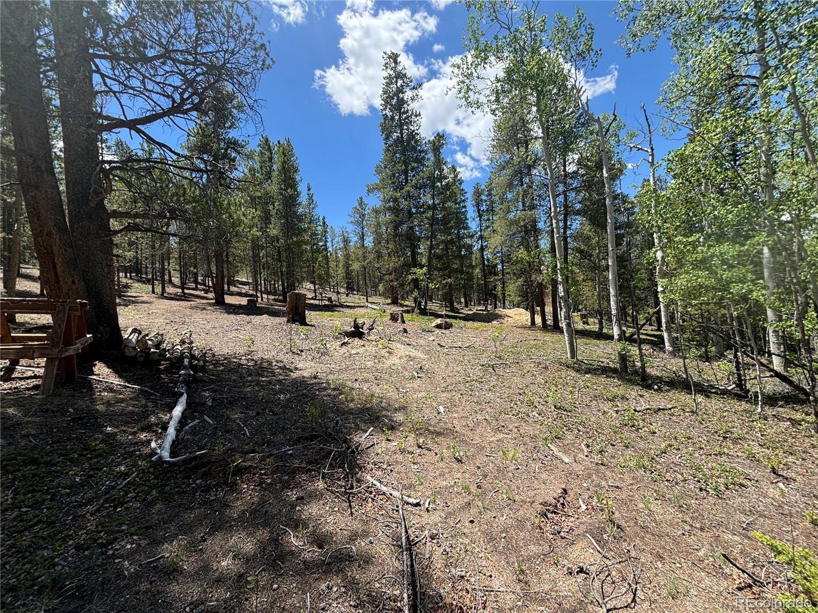 738 Lodgepole Drive