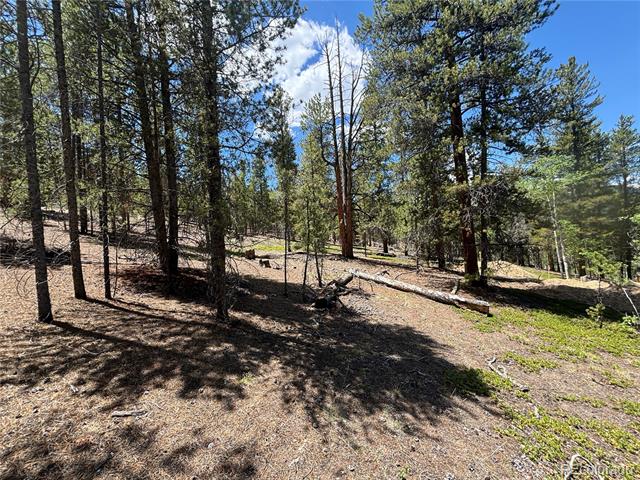 738 Lodgepole Drive