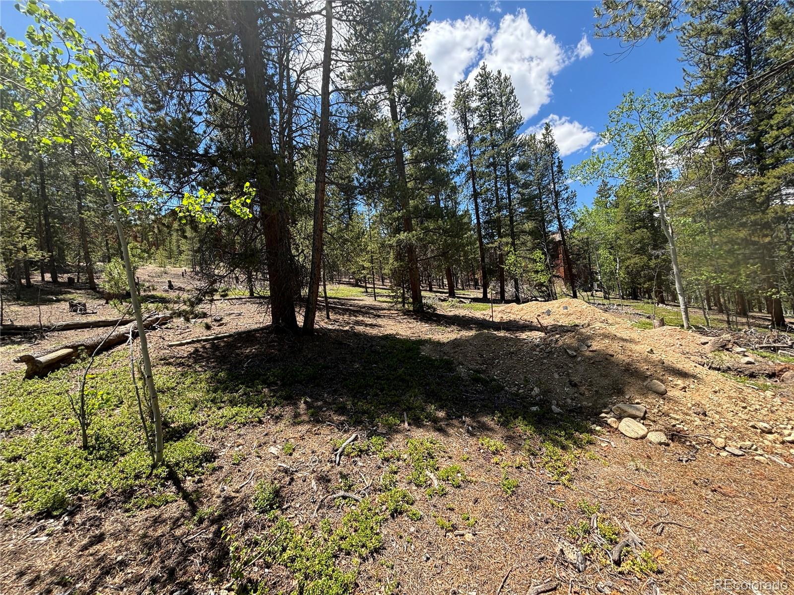 738 Lodgepole Drive