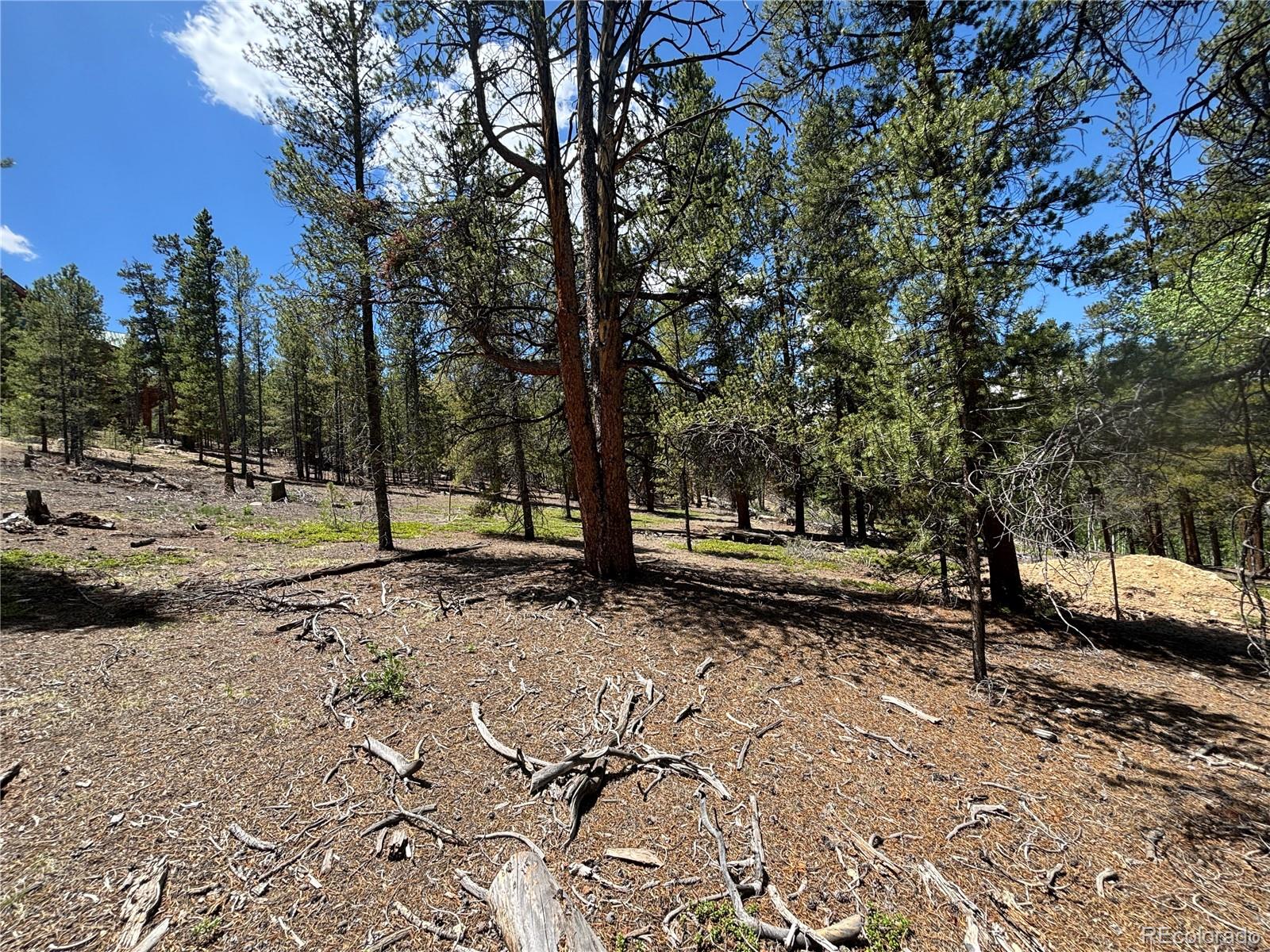 738 Lodgepole Drive