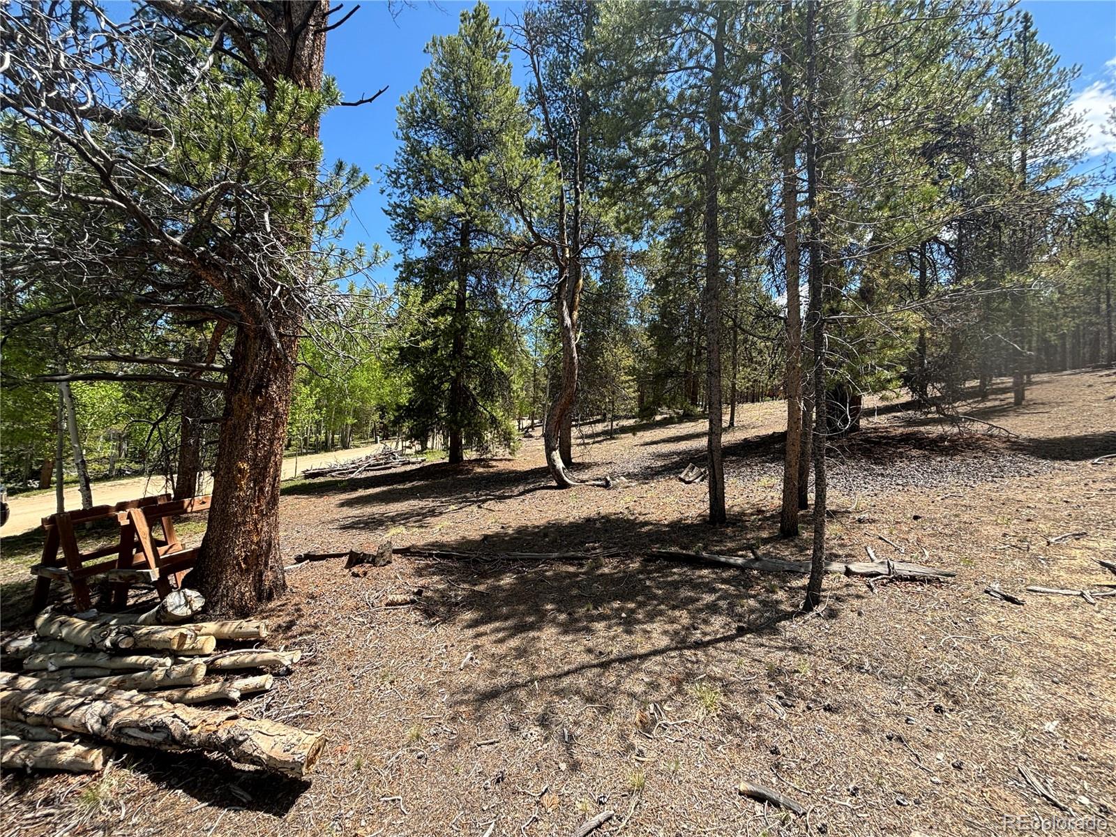 738 Lodgepole Drive