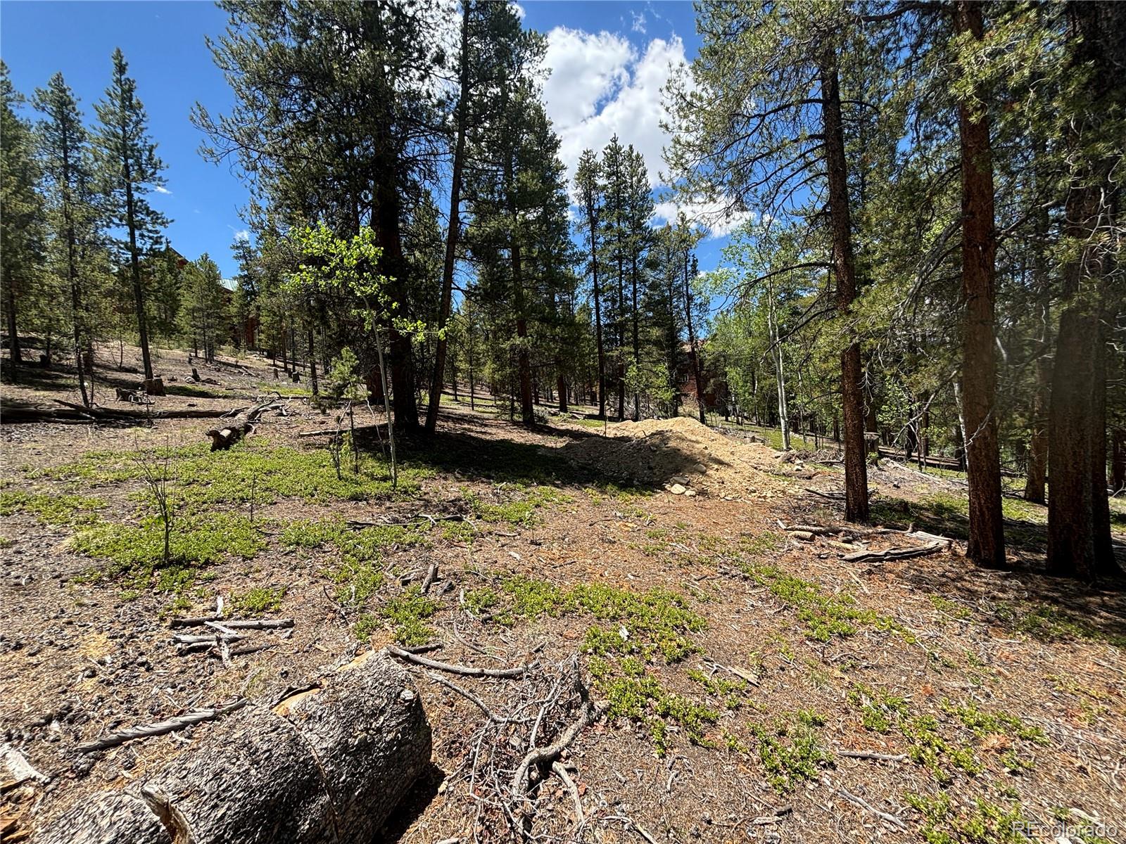 738 Lodgepole Drive