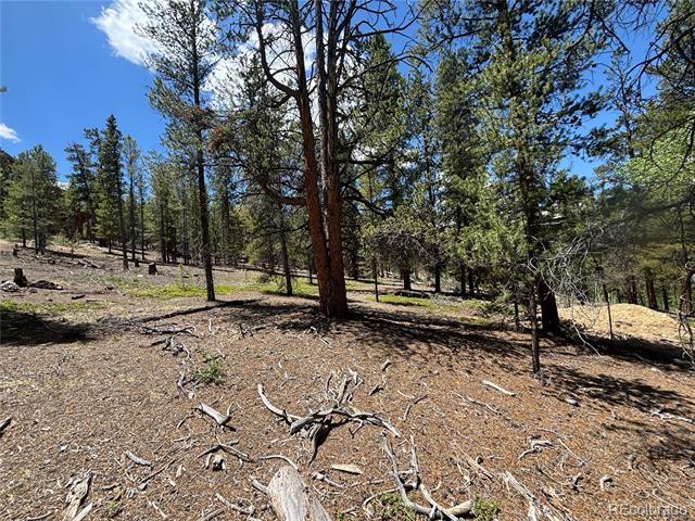 738 Lodgepole Drive