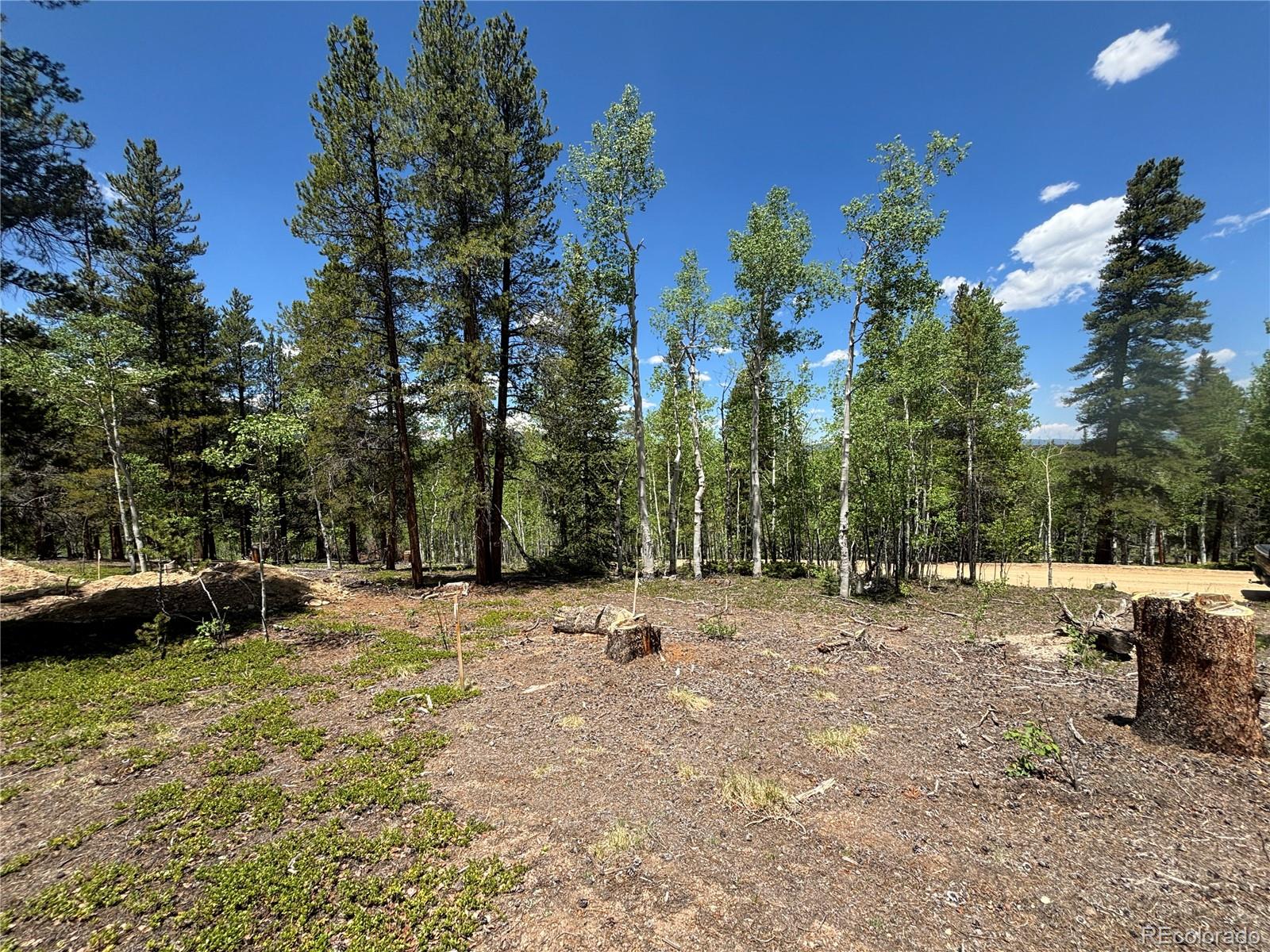 738 Lodgepole Drive
