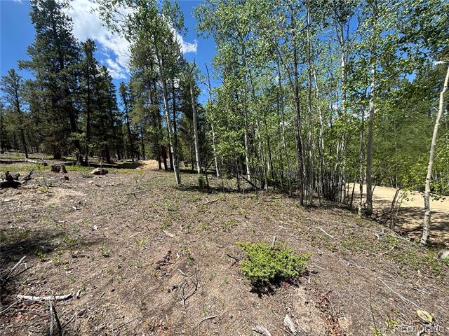 738 Lodgepole Drive