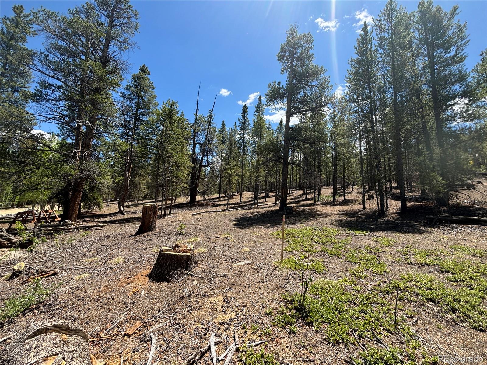 738 Lodgepole Drive