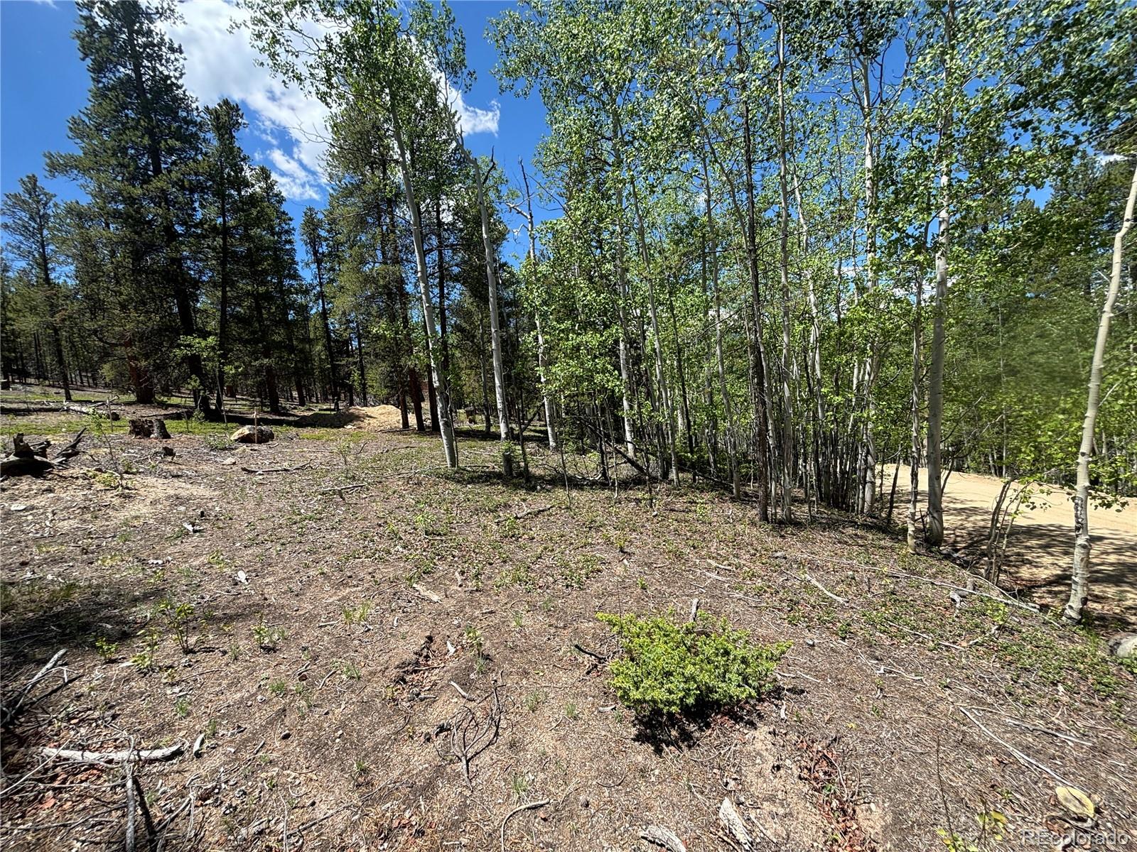 738 Lodgepole Drive