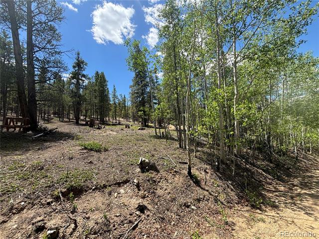 738 Lodgepole Drive