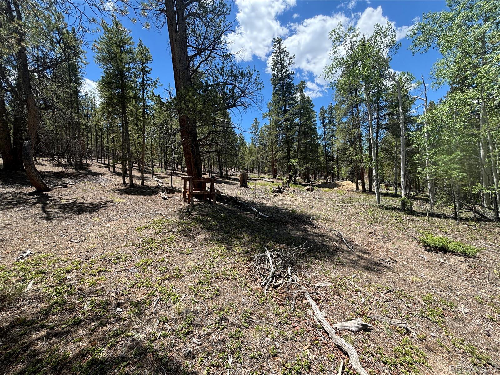 738 Lodgepole Drive