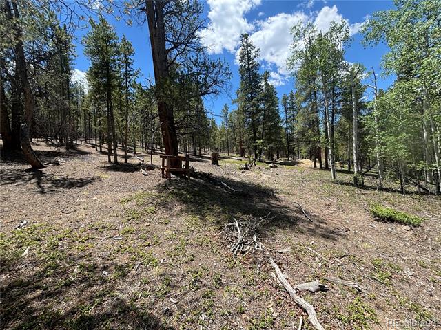 738 Lodgepole Drive