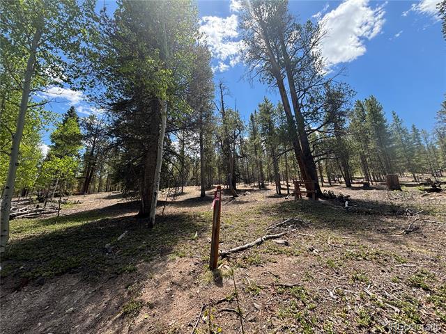 738 Lodgepole Drive
