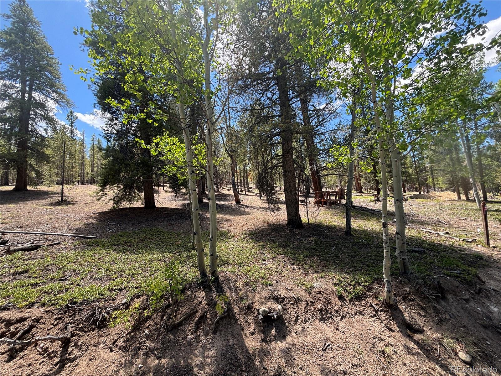 738 Lodgepole Drive