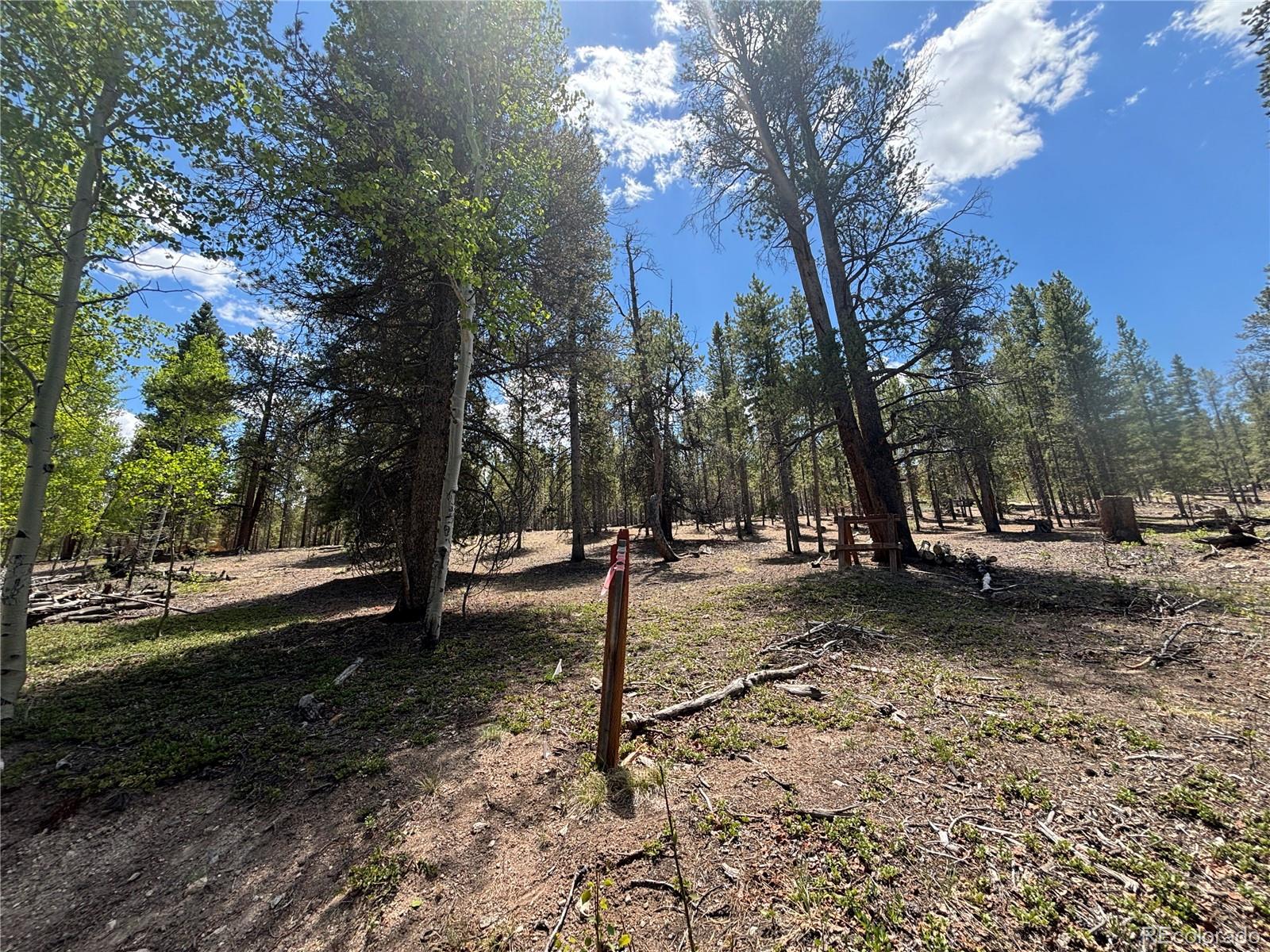738 Lodgepole Drive
