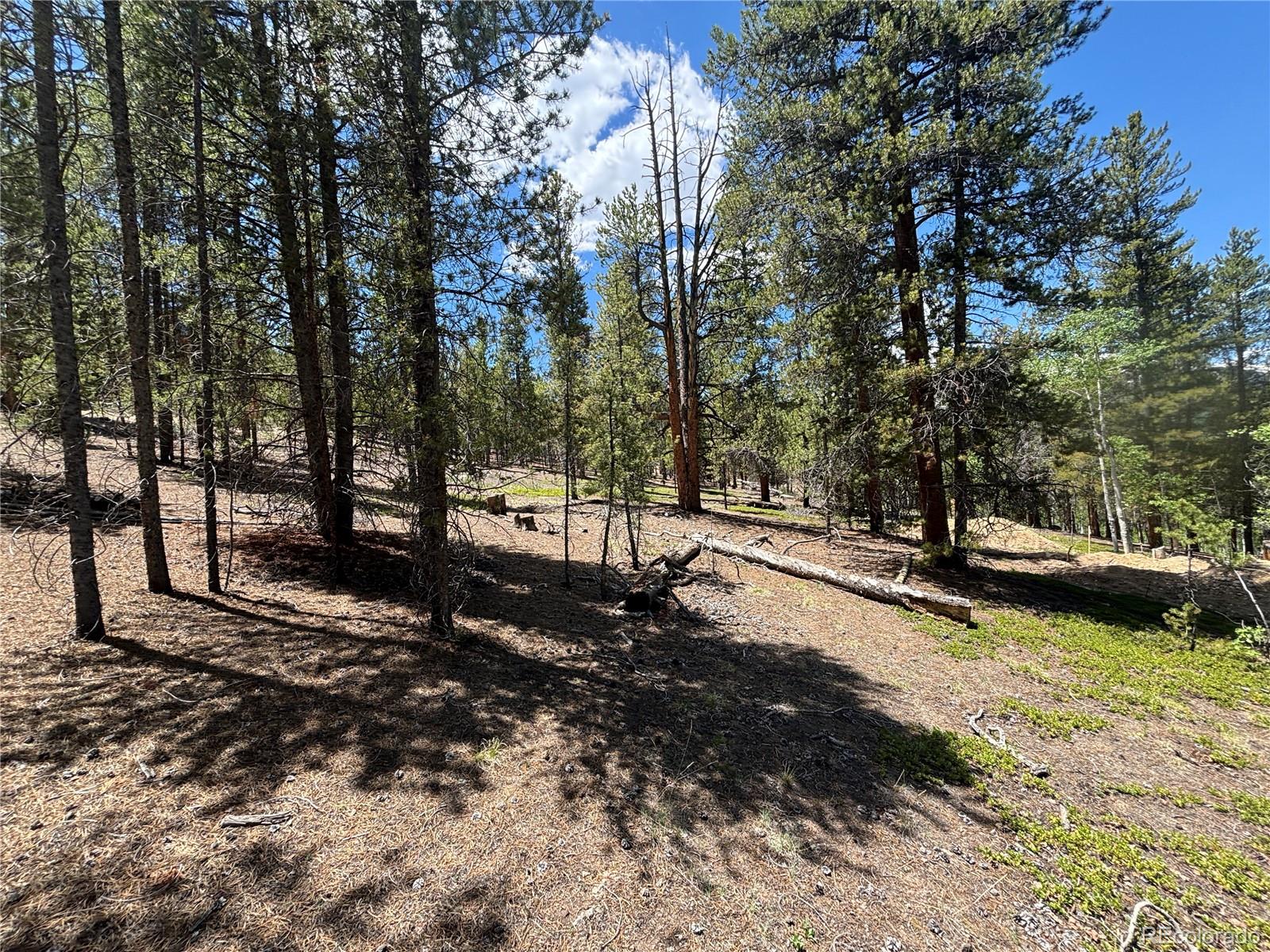 738 Lodgepole Drive