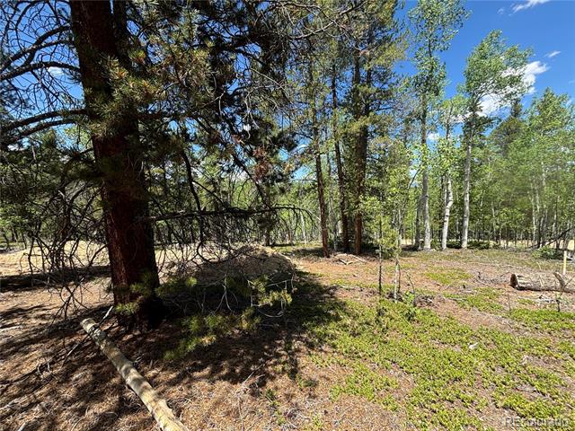 738 Lodgepole Drive