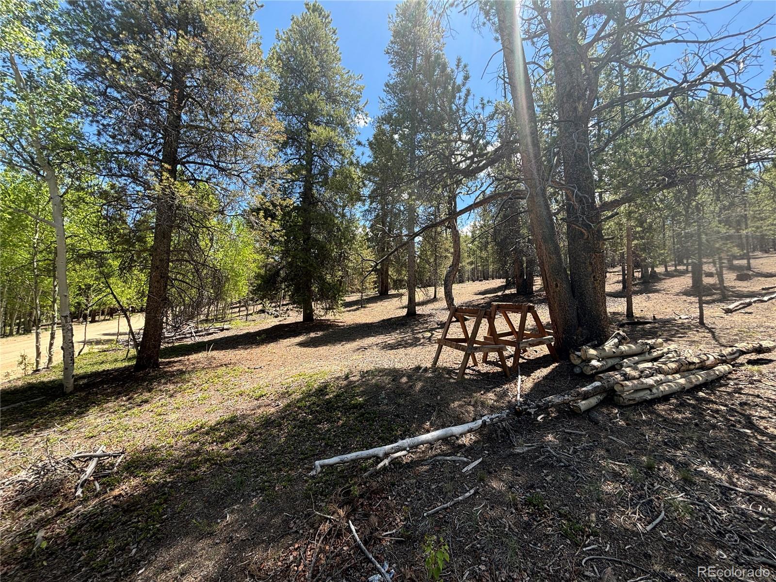 738 Lodgepole Drive