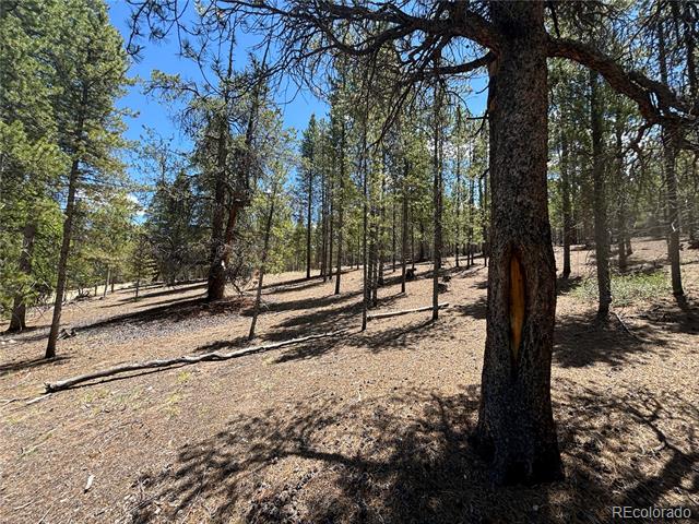 738 Lodgepole Drive