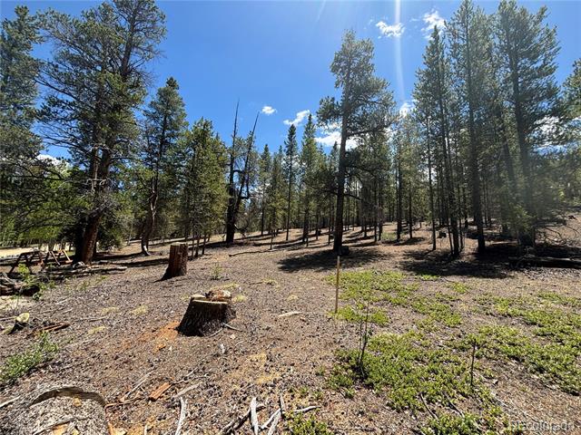 738 Lodgepole Drive