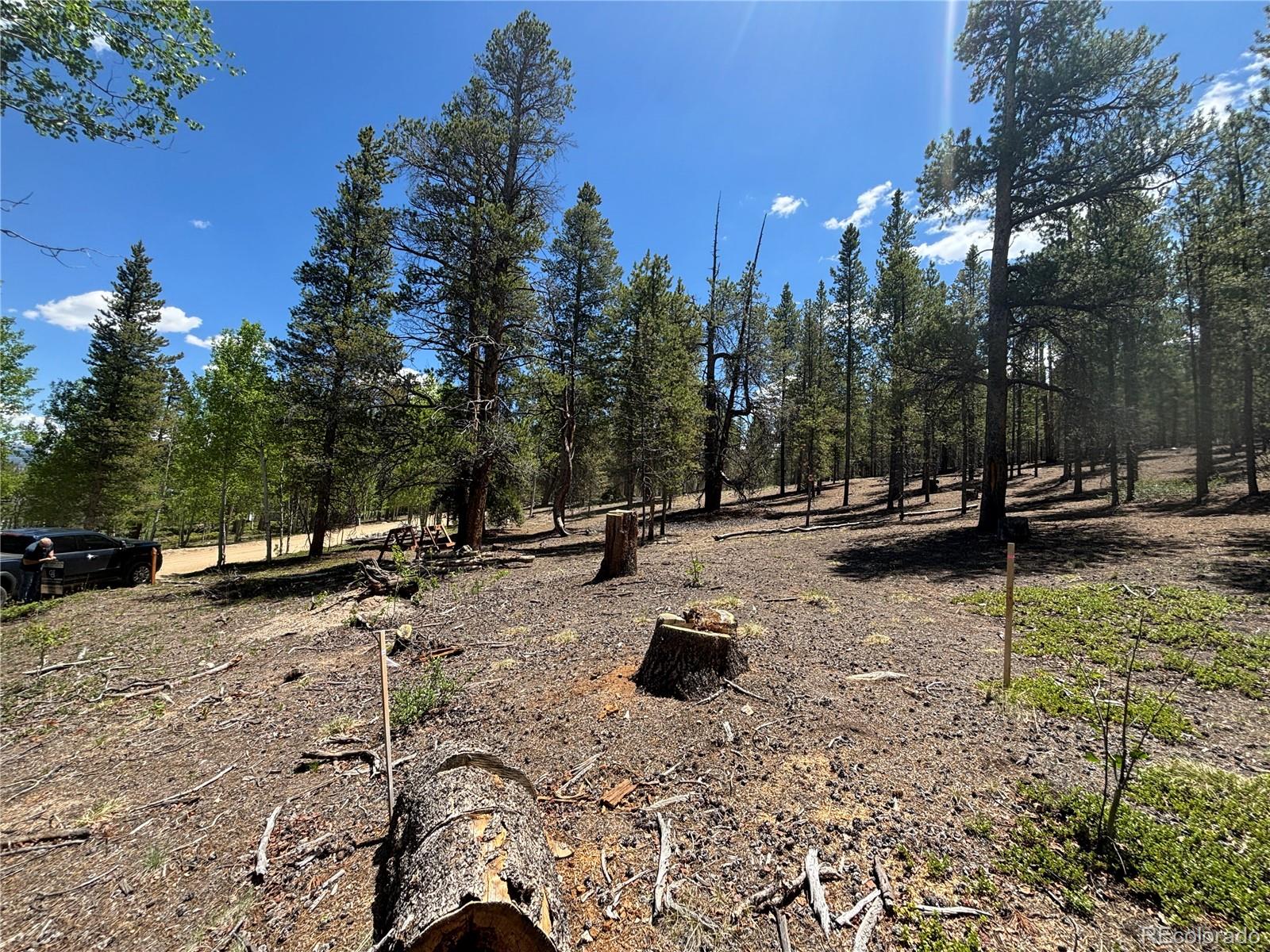 738 Lodgepole Drive
