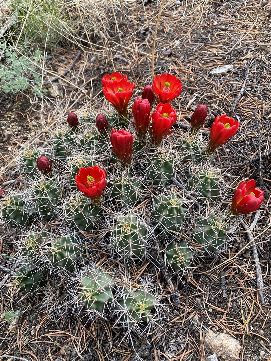 28750 County Road 304