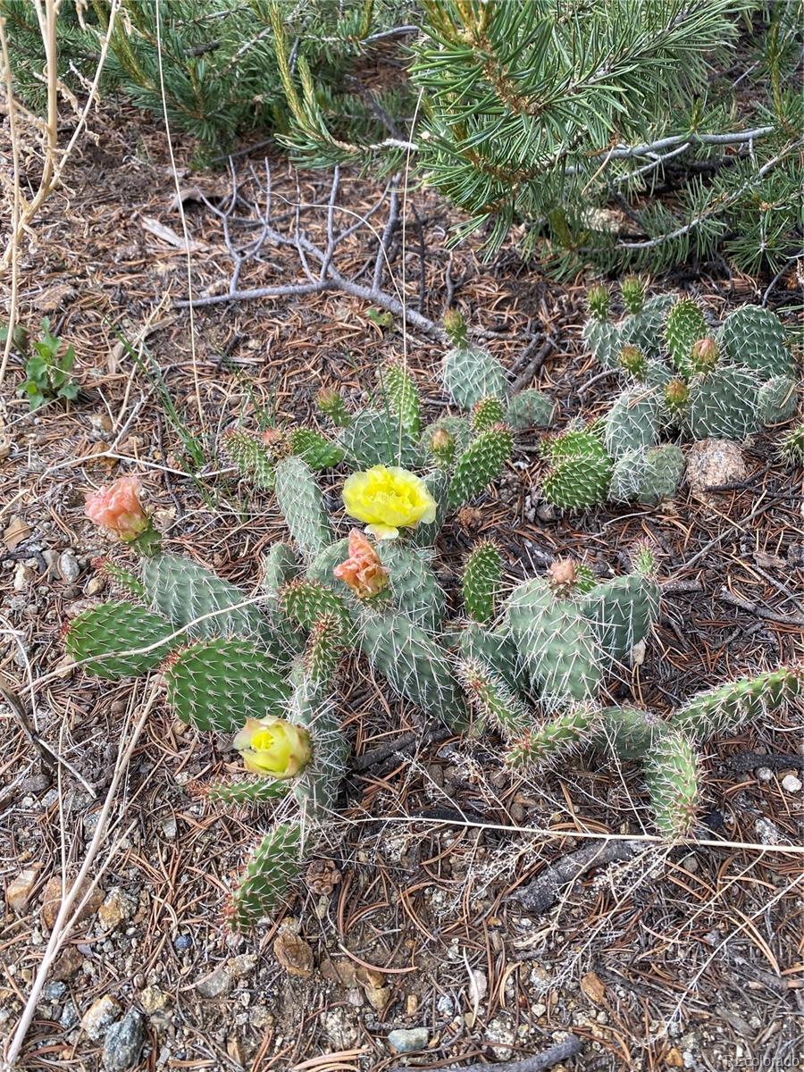 28750 County Road 304