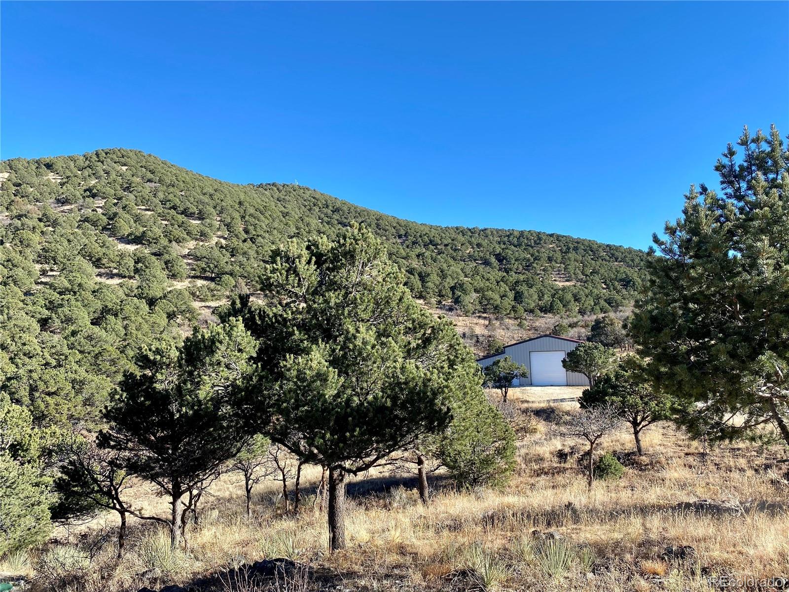 215 Rhonda Road