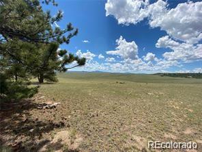 252 Angus Cir