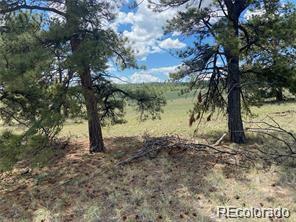 252 Angus Cir