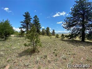 252 Angus Cir