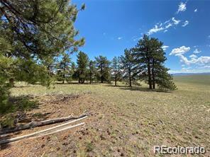 252 Angus Cir