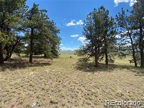 252 Angus Cir