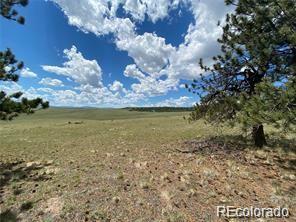 252 Angus Cir