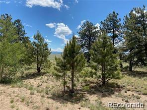 252 Angus Cir