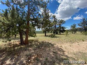 252 Angus Cir