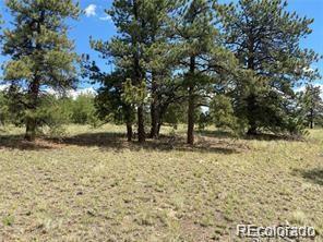 252 Angus Cir
