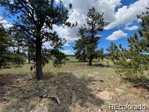 252 Angus Cir