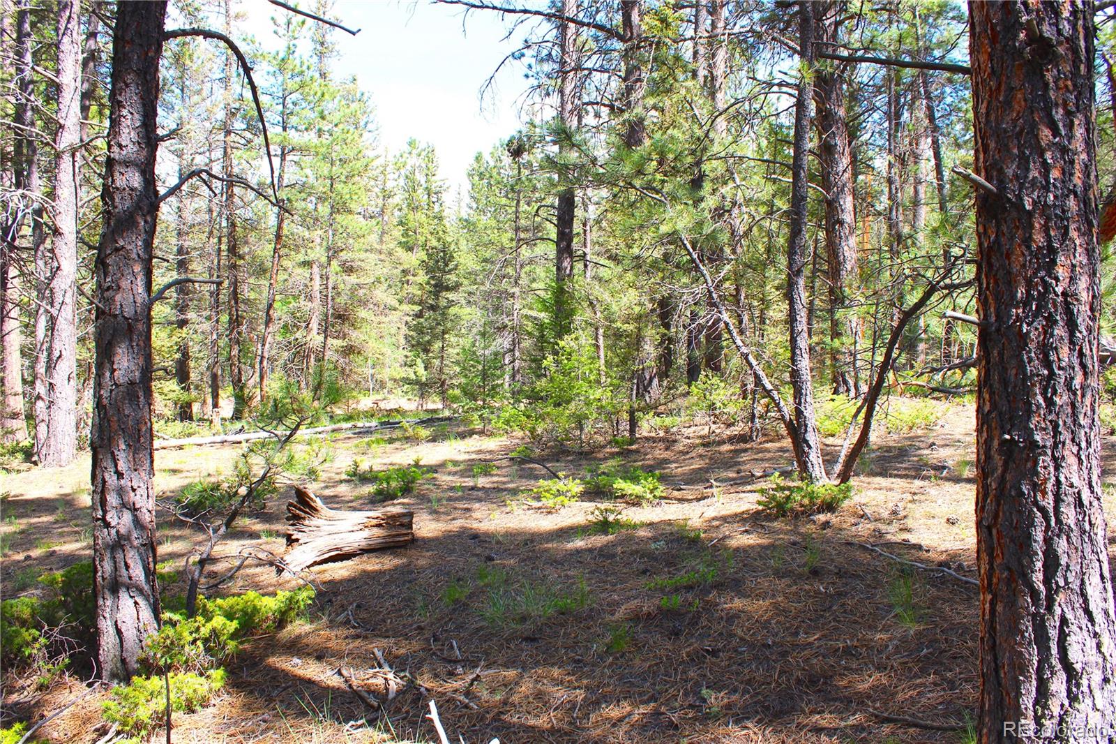 607 Gold Dust Creek Road