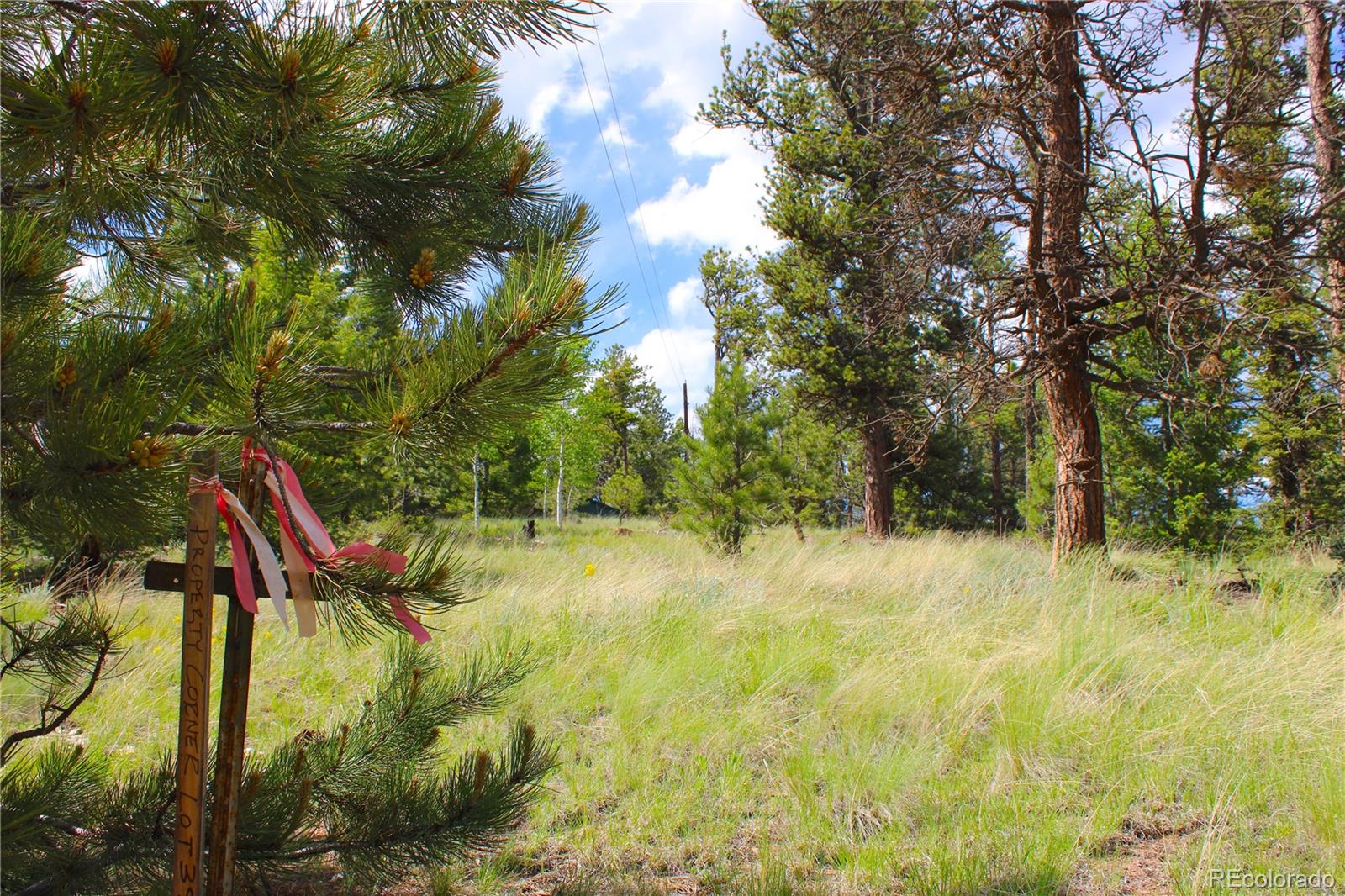 607 Gold Dust Creek Road