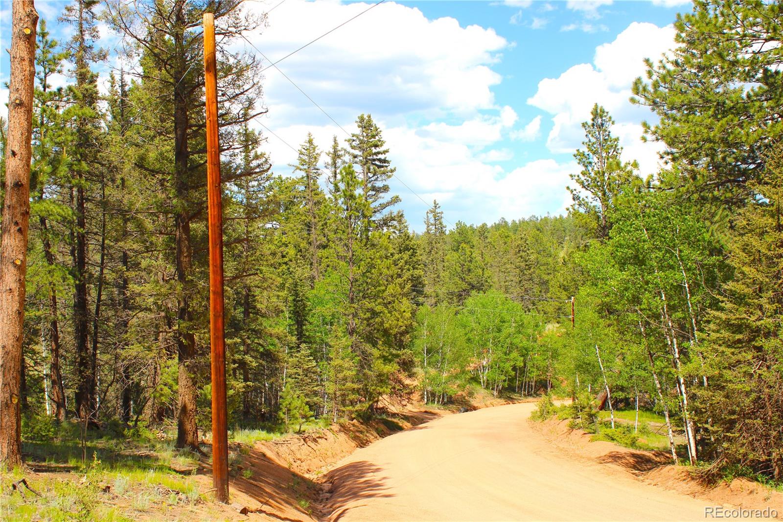 607 Gold Dust Creek Road