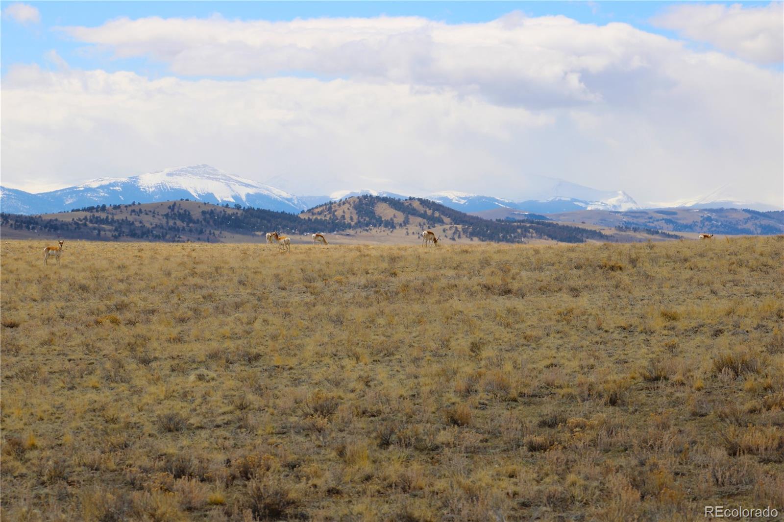 1632 Rocky Mountain Road
