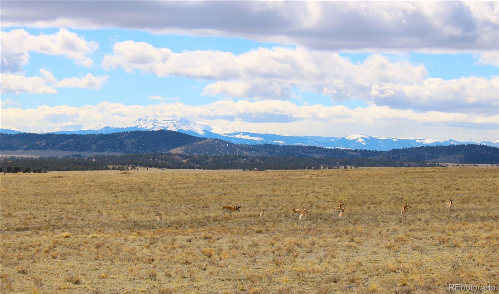 1632 Rocky Mountain Road
